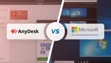 AnyDesk winrdp