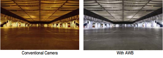 انواع دوربین مداربسته ضد نور، فناوری ICR قابلیت تنظیم نور و تاریکی