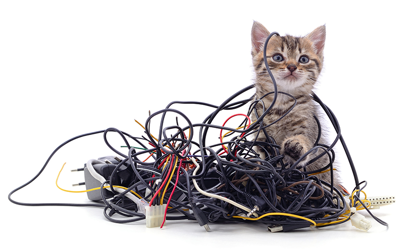 مقایسه انواع کابل شبکه cat